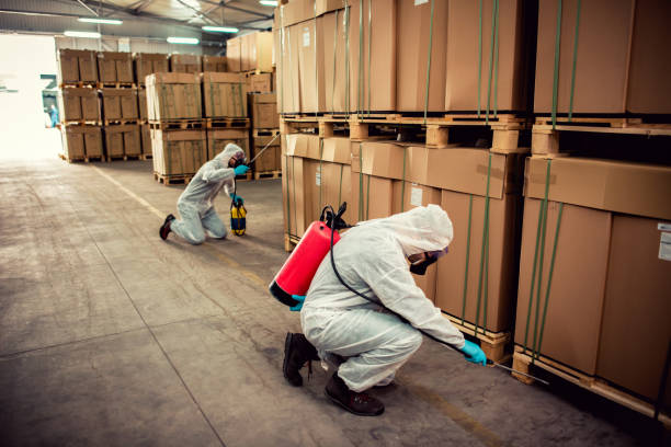 Trusted Lowell, OR Pest Control Experts