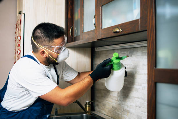 Best Pest Control for Homes  in Lowell, OR