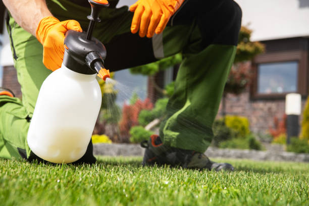 Professional Pest Control in Lowell, OR