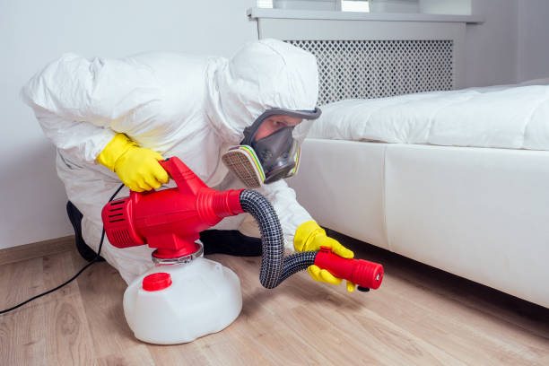 Best Flea Control Services  in Lowell, OR