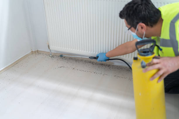 Best Bed Bug Extermination  in Lowell, OR