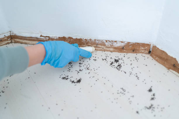 Best Pest Removal Services  in Lowell, OR