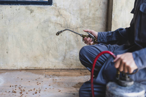Best Wasp Removal Services  in Lowell, OR